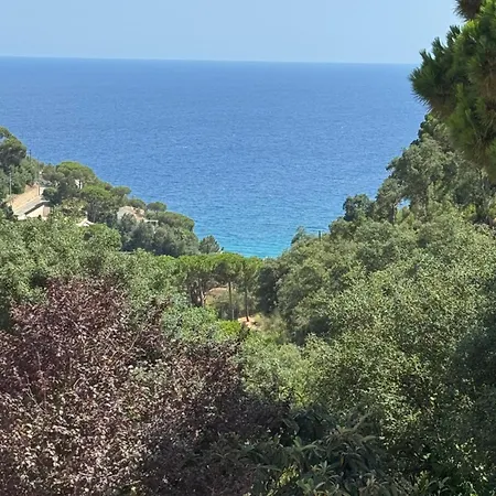 Escorpion Semesterbostad *