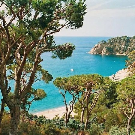 Semesterbostad Escorpion *